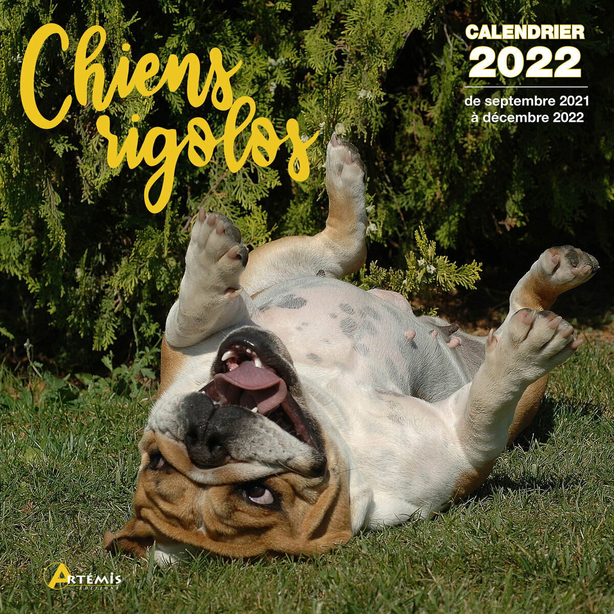 Calendrier 22 Chien Rigolo