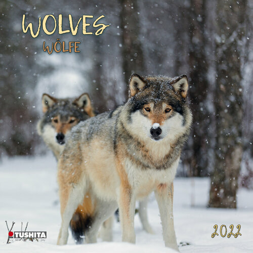 Calendrier Du Loup 2023 2024 Calendrier 2022 Loup