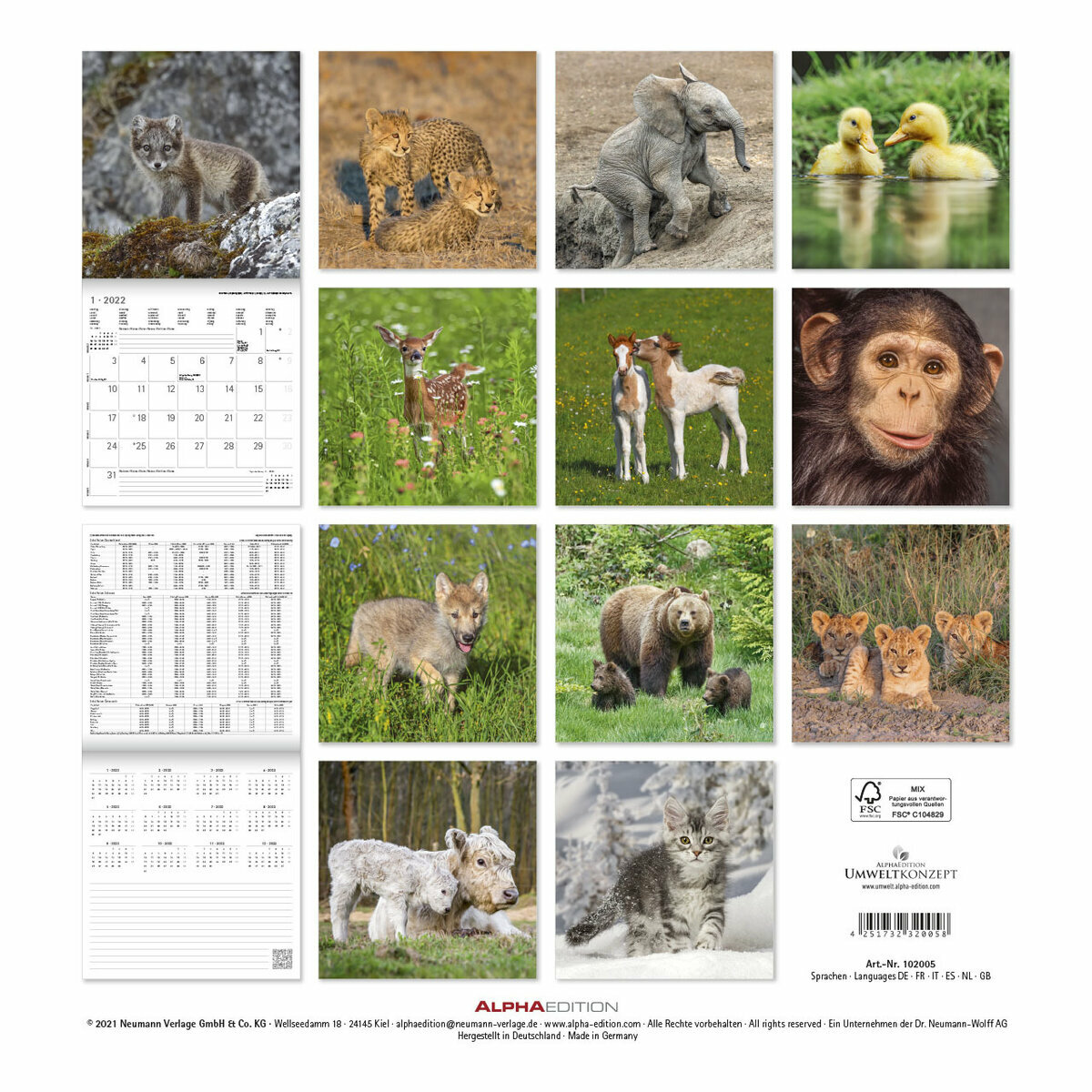 Calendrier 22 Bebe Animaux