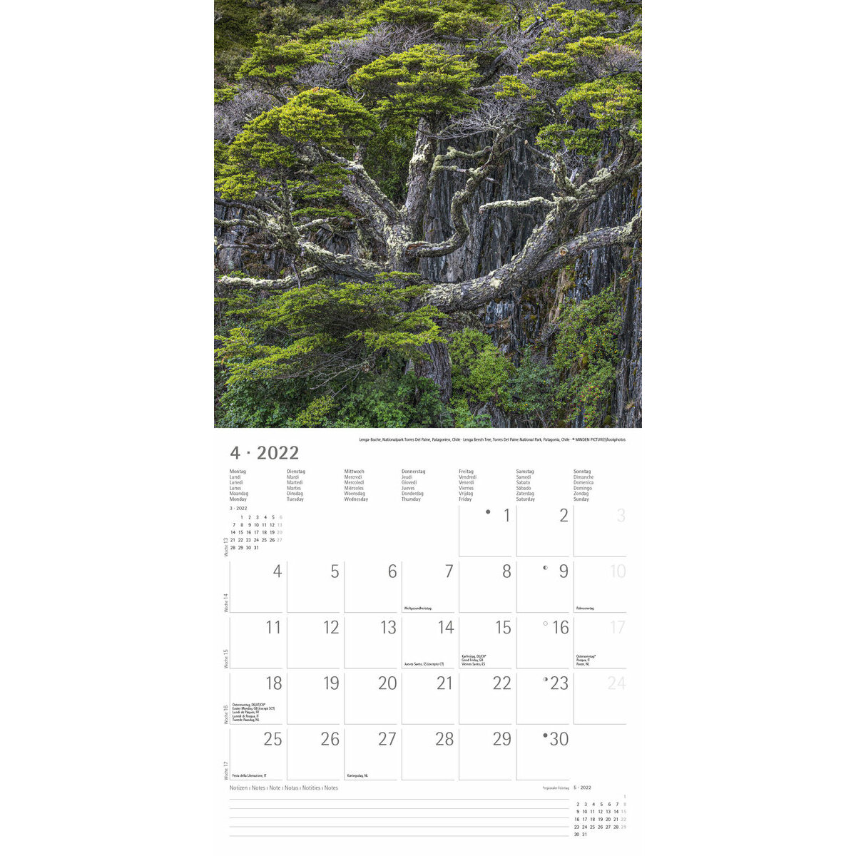 Calendrier De Chasse Foret De Clairmarais 2022 2023 - Calendrier Decembre