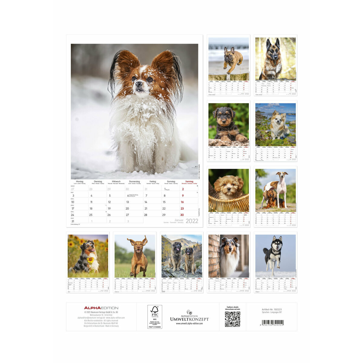 Maxi Calendrier 2022 Chien nature