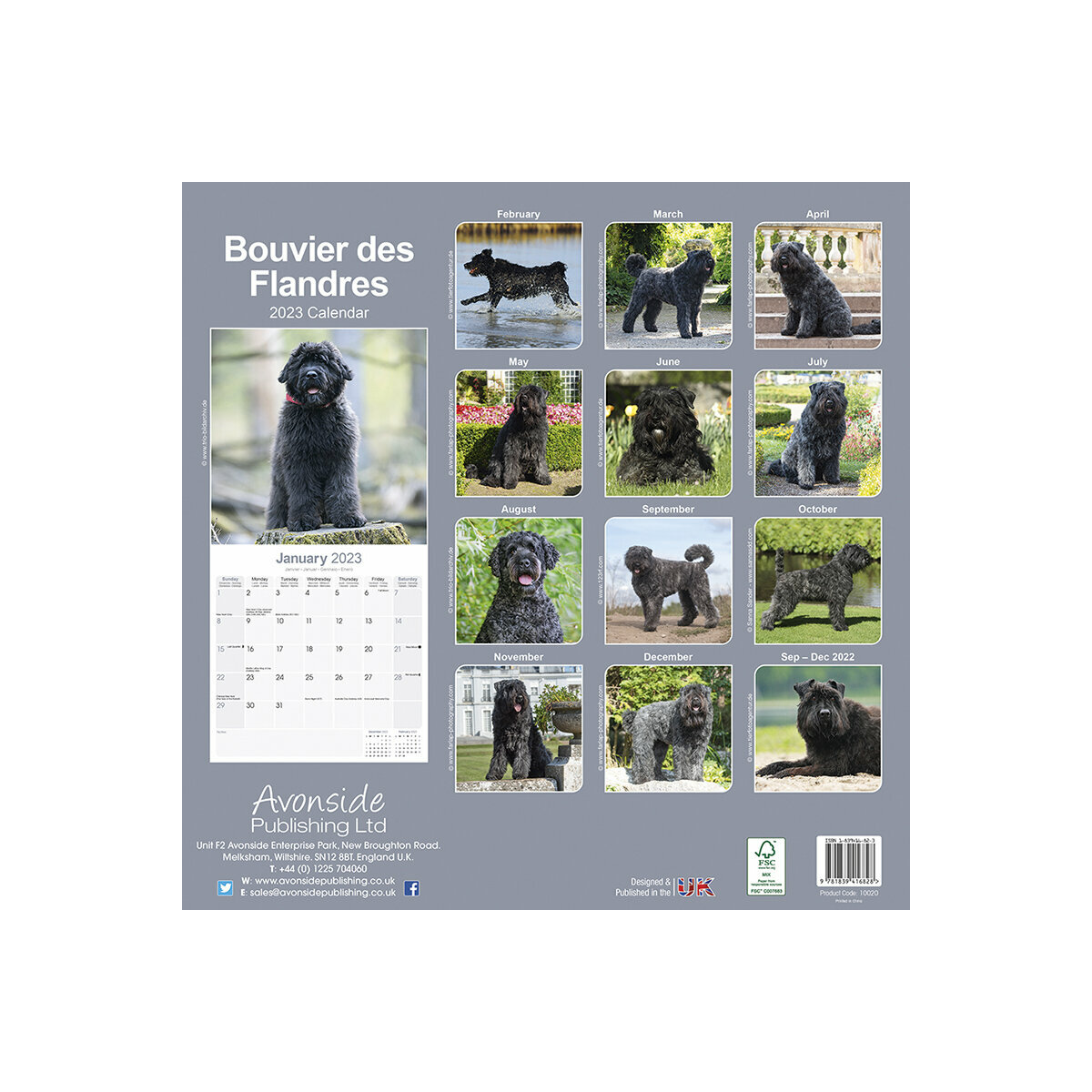 calendrier Bouvier des flandres 2023