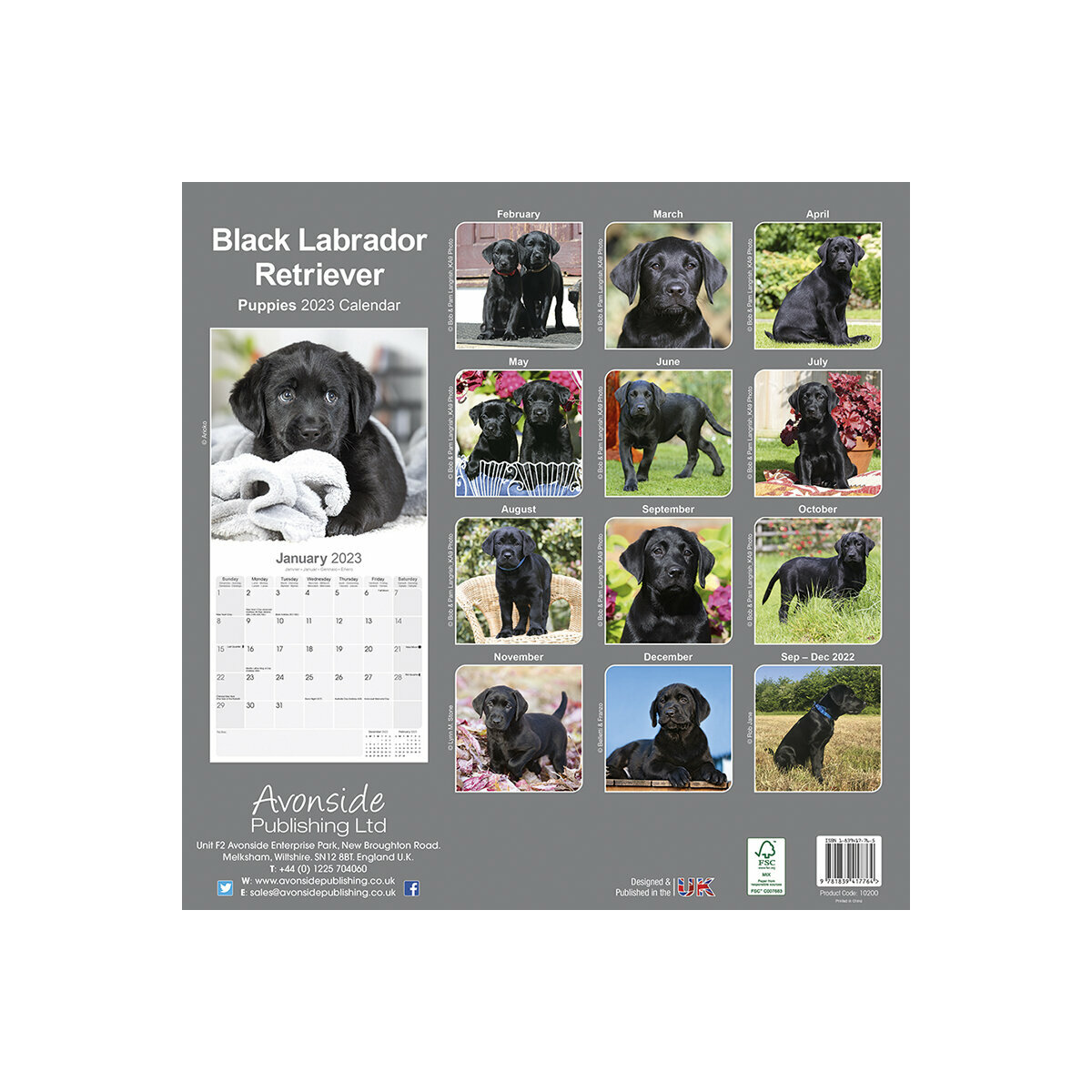 Calendrier Des Chiens 2023 Calendrier Labrador Noir Chiot 2023