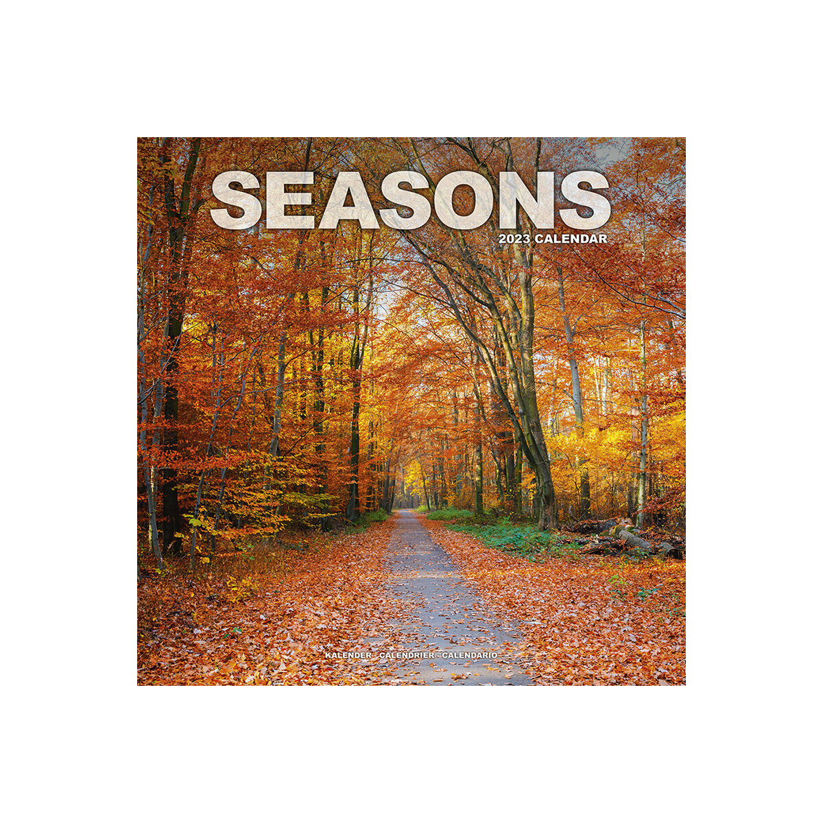 Calendrier Des Saisons 2023 Calendrier 2023 Saison