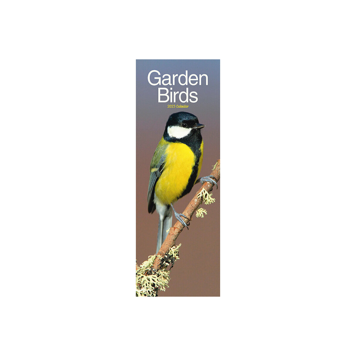 calendrier Oiseau du jardin slim 2023