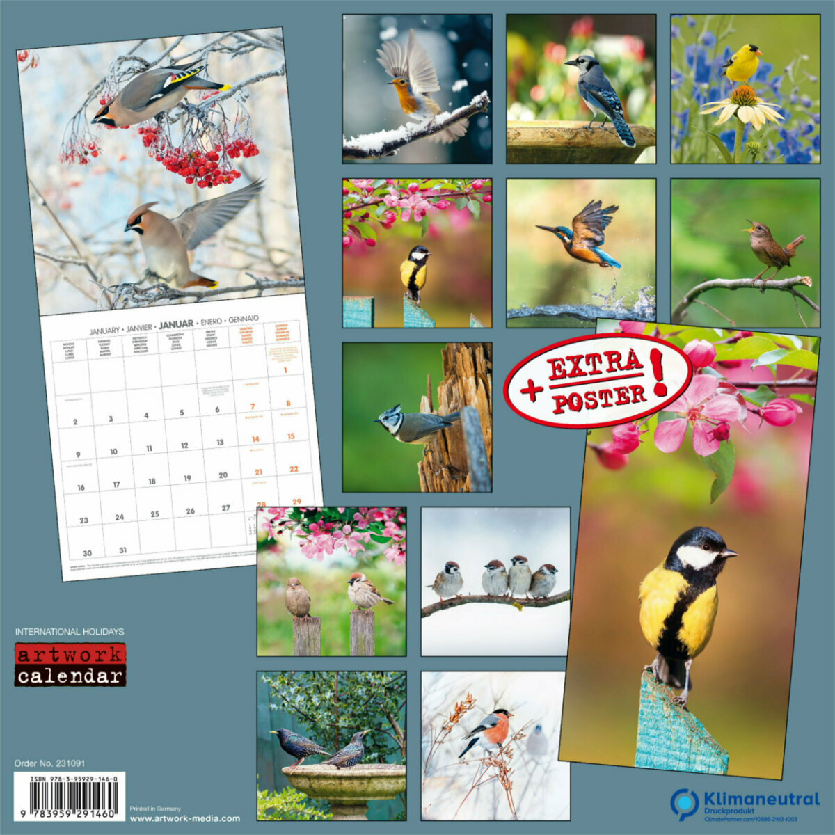 Calendrier Oiseaux 2023 Calendrier 2023 Oiseaux Du Jardin Avec Poster Offert