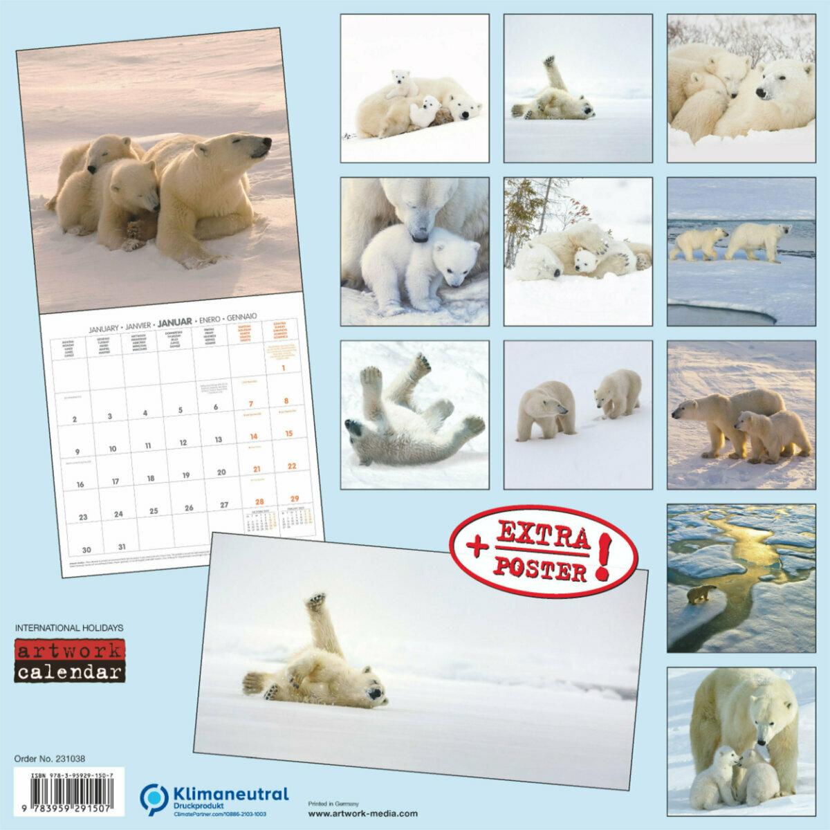 Calendrier 2023 Ours Polaire avec poster offert