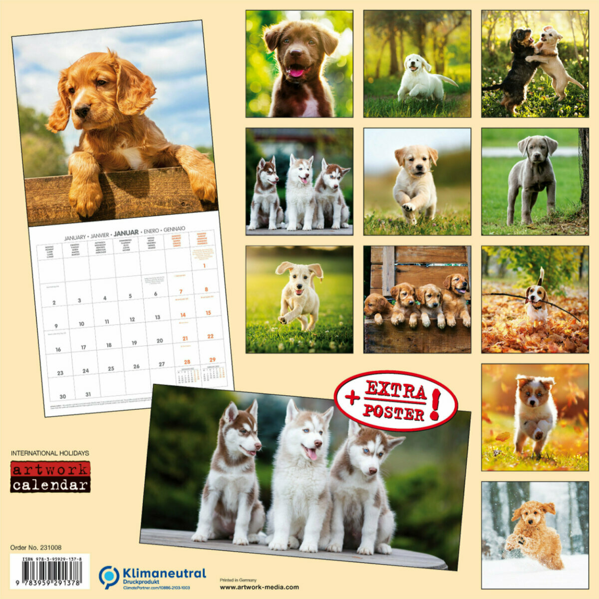Calendrier Des Chiens 2023 Calendrier 2023 Chiots Avec Poster Offert