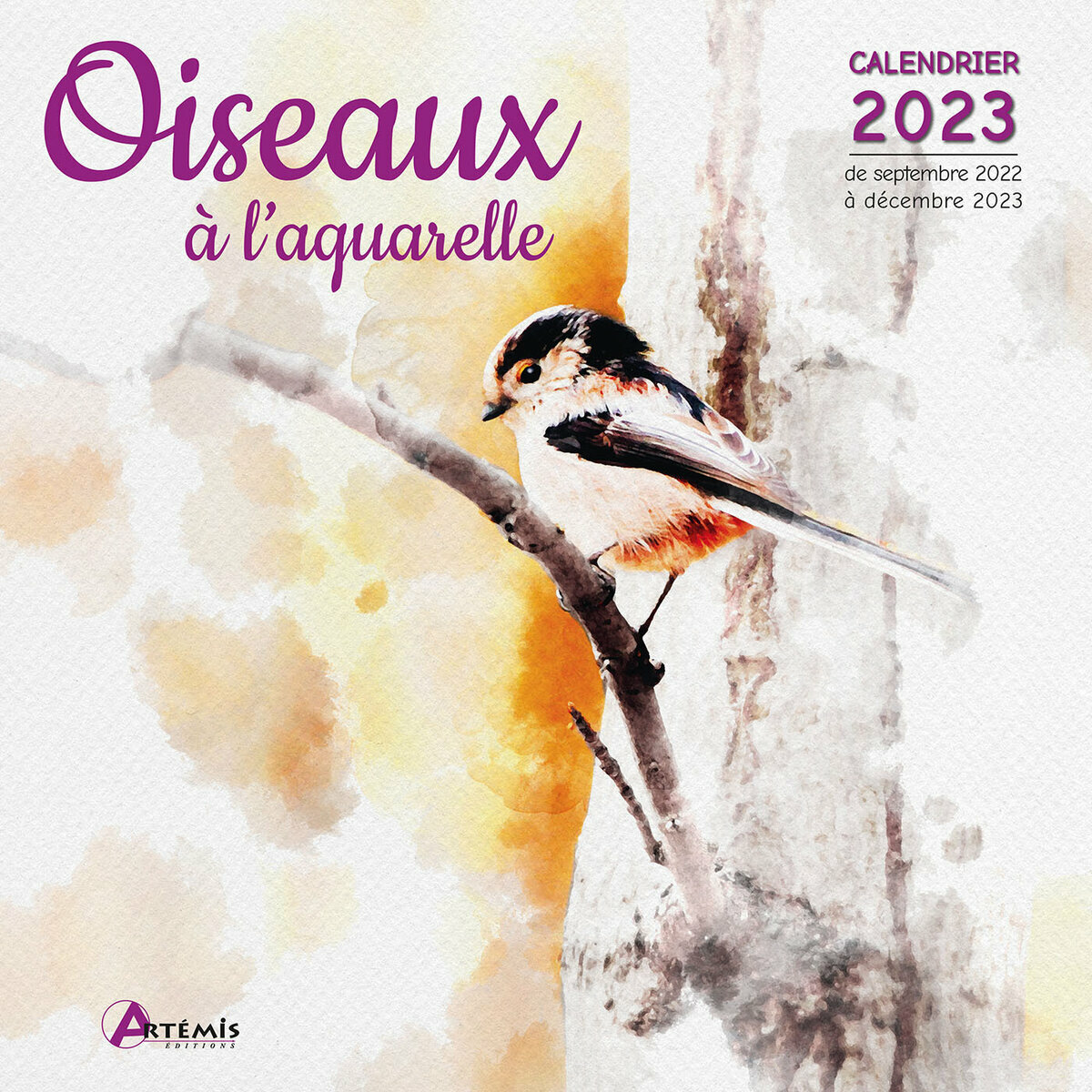 Calendrier 2023 Dessin aquarelle oiseau