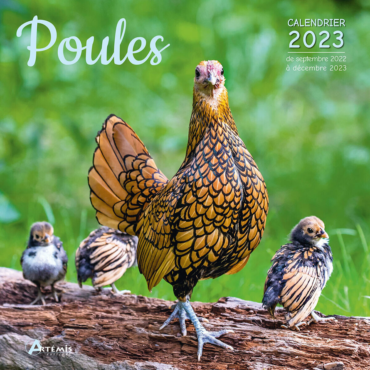 Calendrier 2023 Poule