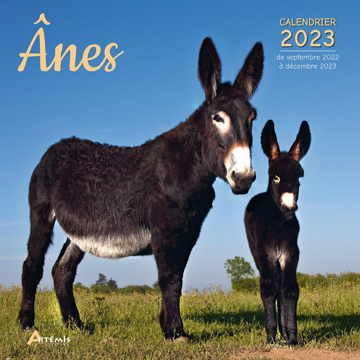 Calendrier 2023 Ane