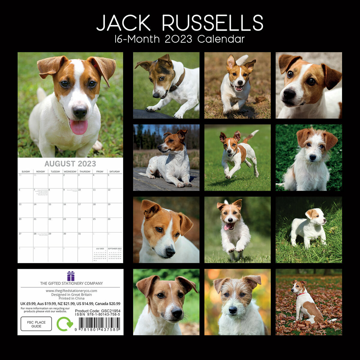 calendrier Jack russell 2023