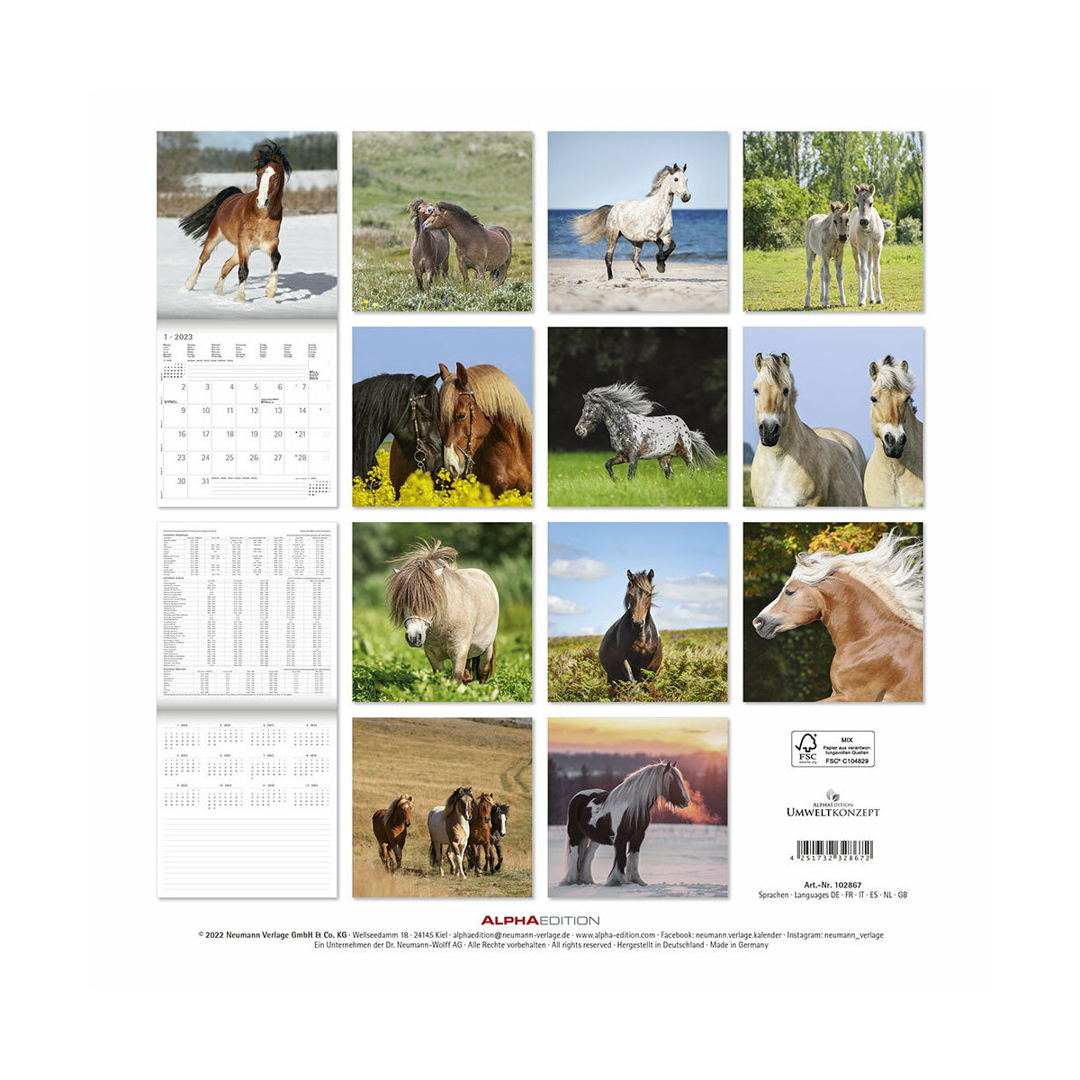 Calendrier 2023 Poney