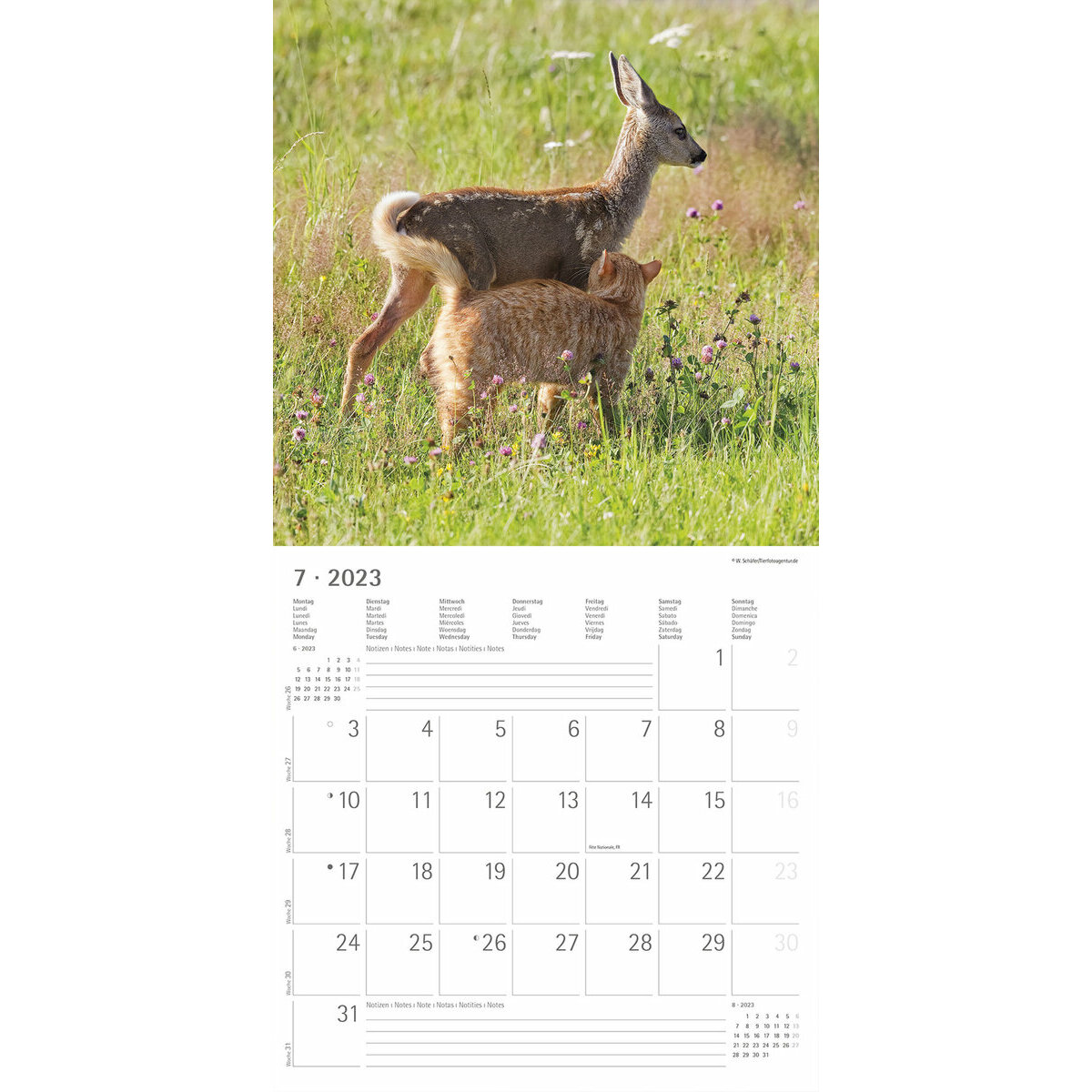 Calendrier 2023 Animaux amis