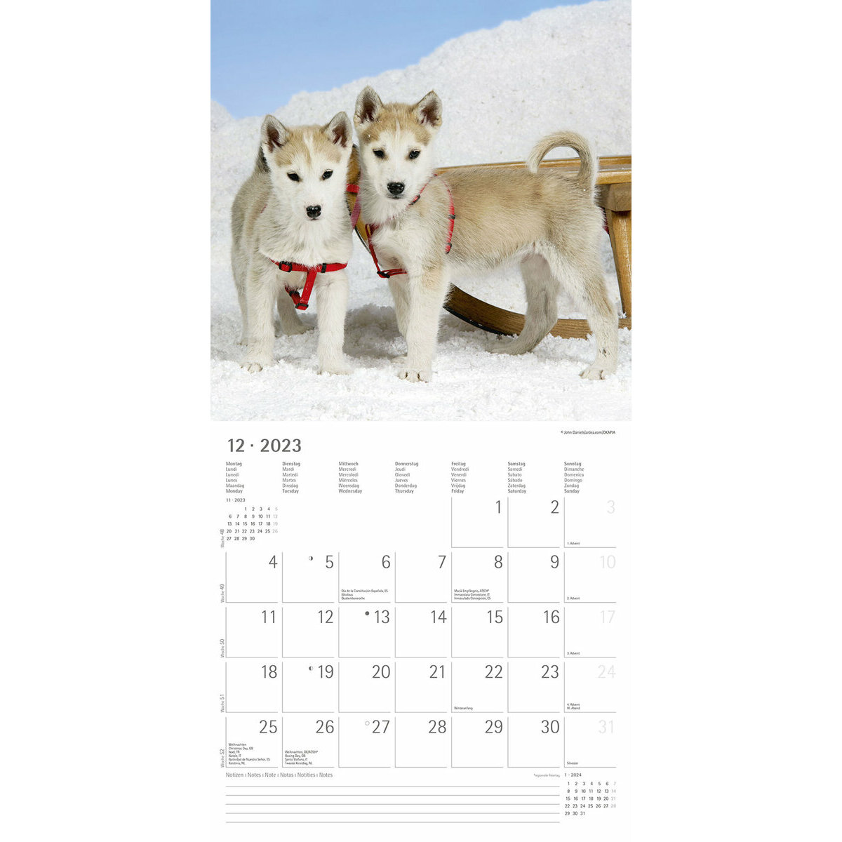 Calendrier 2023 Animaux calins amoureux