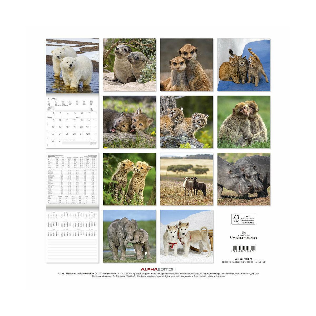 Calendrier 2023 Animaux calins amoureux