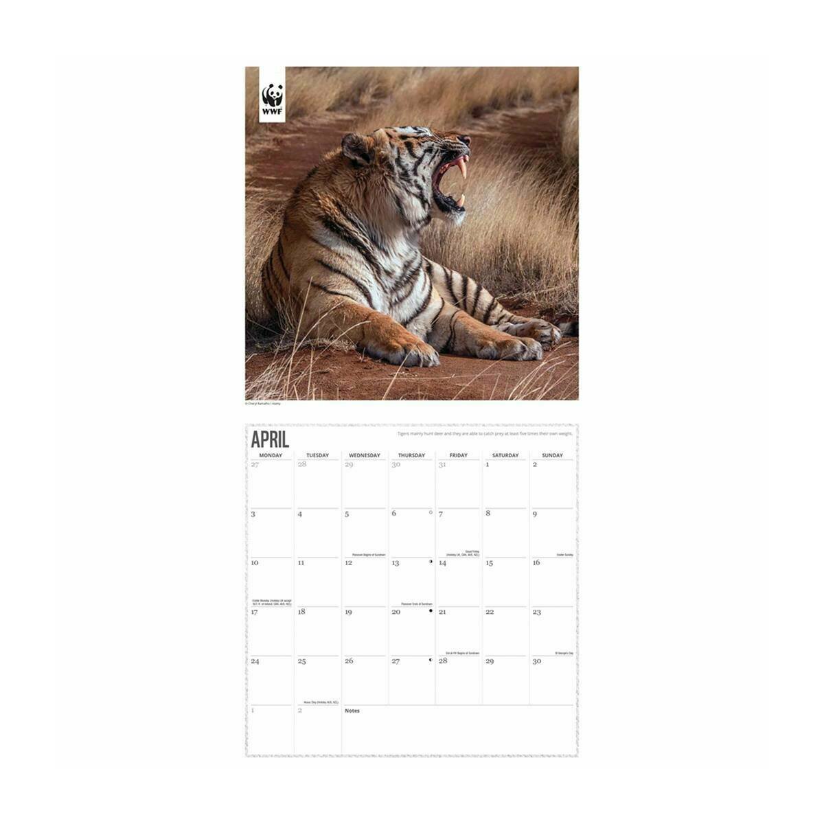 Calendrier 2023 Tigre National Geographic