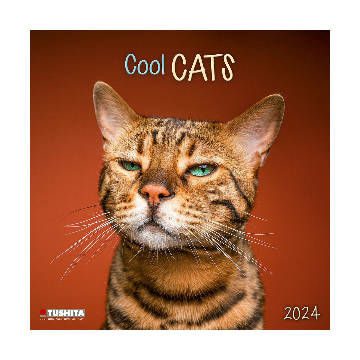 Calendrier 2024 Chat cool