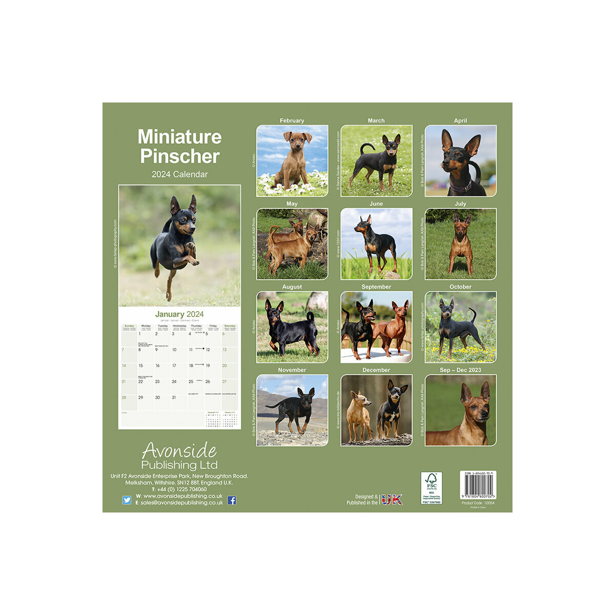 calendrier Pinscher nain 2024