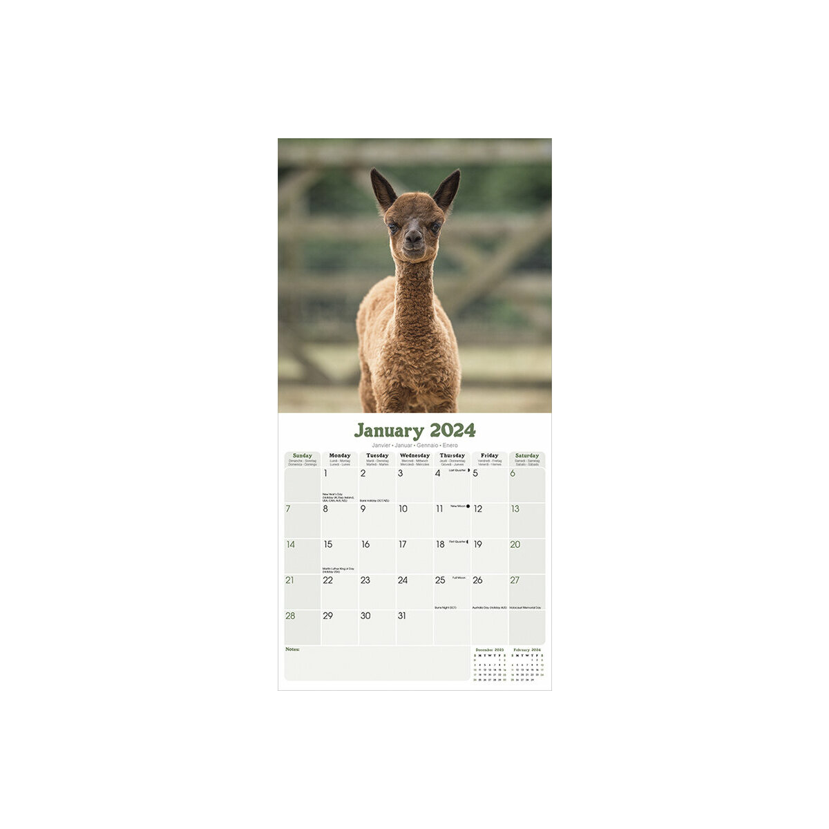 Calendrier 2024 Lama