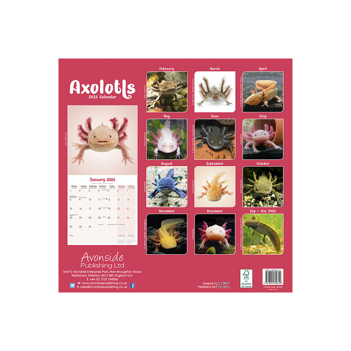 Calendrier 2024 Axolotl   Calendrier Axolotl 2024 