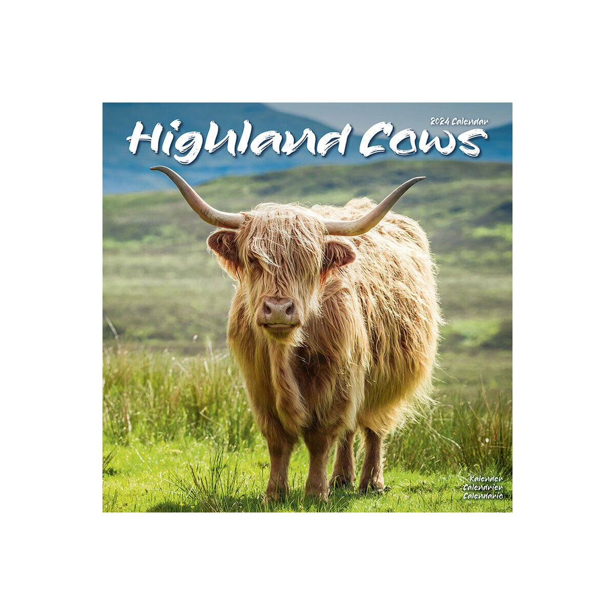 Calendrier 2024 Vache Highland