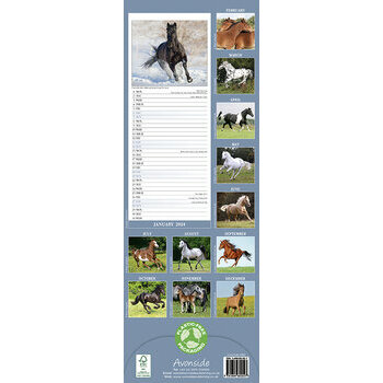 Calendrier mural Calendrier des chevaux - Dream Horses 2024