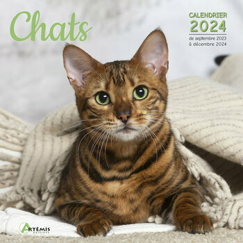 Chat drôle Calendrier 2024 - 2025: Calendrier sur trois ans, 30 images de  chats drôles, de janvier 2024 à juin 2026, papier épais et robuste