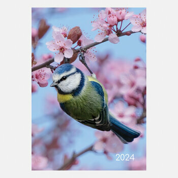 Calendrier 2024 d'oiseaux extrêmement précis, calendrier drôle d'oiseaux  précis, calendrier mural oiseau 2024, calendrier mensuel oiseaux suspendus