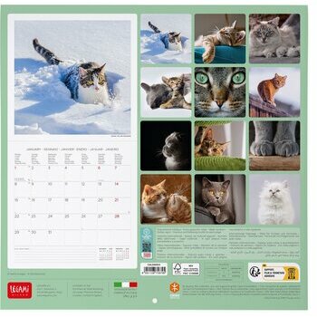 Chatons amusants Calendrier 2024 - 2025: Calendrier sur trois ans, 30  images de chatons amusants, de janvier 2024 à juin 2026, papier épais et
