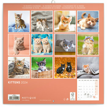 Chat drôle Calendrier 2024 - 2025: Calendrier sur trois ans, 30 images de  chats drôles, de janvier 2024 à juin 2026, papier épais et robuste