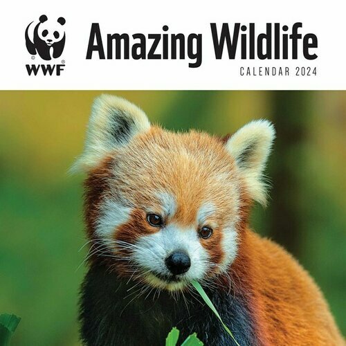Calendrier 2024 Animaux Sauvage étonnant WWF