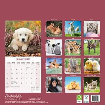 Calendrier 2026 Bébés Animaux Mignons