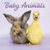 Calendrier Bb Lapin 025