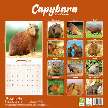 Calendrier 2026 Capybara Cabiai