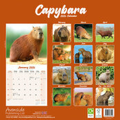 Calendrier Papier 2026 Capybara Cabiai