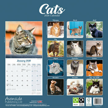 Calendrier 2026 Chats toutes couleurs