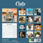 Calendrier Papier 2026 Chats toutes couleurs