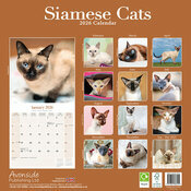 Calendrier Papier 2026 Chat Siamois