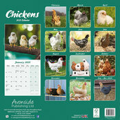 Calendrier Poule Poussin 2025