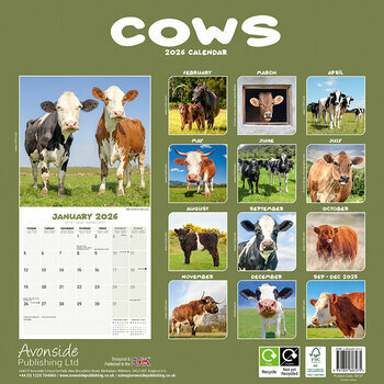 Calendrier 2026 Vache