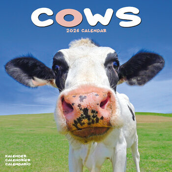 Calendrier 2026 Vache