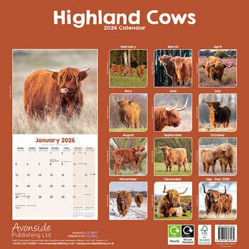 Calendrier 2026 Vache Highland