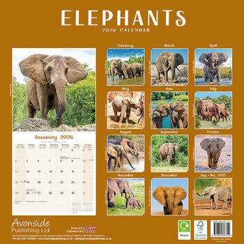 Calendrier 2026 Eléphant