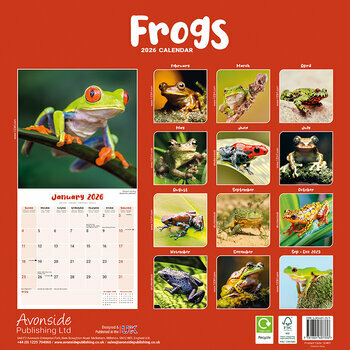 Calendrier 2026 Grenouille