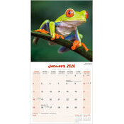 Calendrier 2026 Grenouille