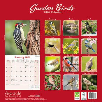 Calendrier 2026 Oiseaux du Jardin Rouge Gorge