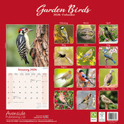 Calendrier Papier 2026 Oiseaux du Jardin Rouge Gorge