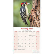 Calendrier 2026 Oiseaux du Jardin Rouge Gorge