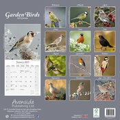 Calendrier 2025 Mesange oiseaux